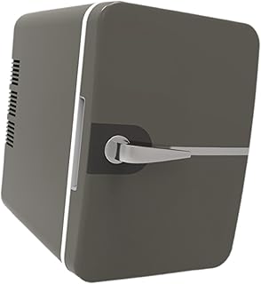 SECRET DESIRE Mini Fridge 6L/8 Can Small Refrigerator Compact Refrigerator for Office Car Grey