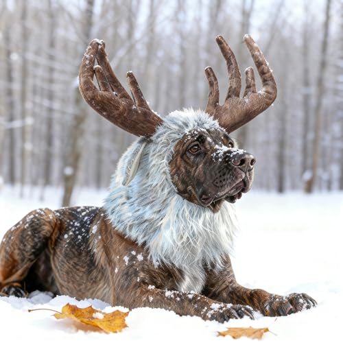 Onmygogo Funny Dog Halloween Costumes, Cute Furry Pet Wig for Halloween Christmas, Pet Clothing Accessories (Moose, Size M)