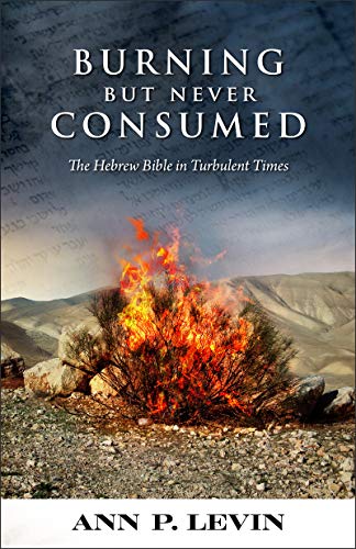 Burning But Never Consumed: The Hebrew Bible in Turbulent Times by [Ann Levin]