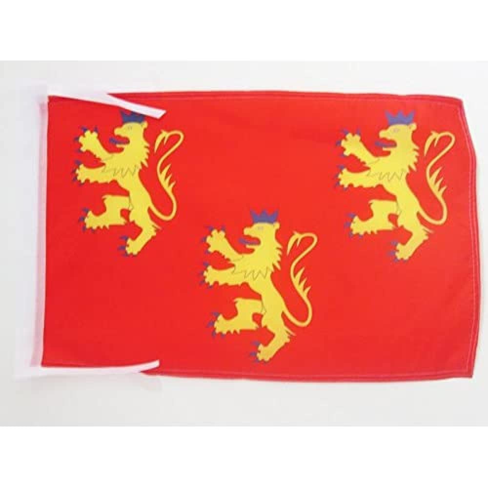 Iran Old Persia Flag 18'' x 12'' cords - Persian SMALL flags 30 x 45cm - Banner 18x12 in - AZ FLAG — view 1170