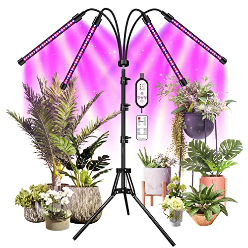 10 Best Grow Lights For African Violets 2022 Reviews