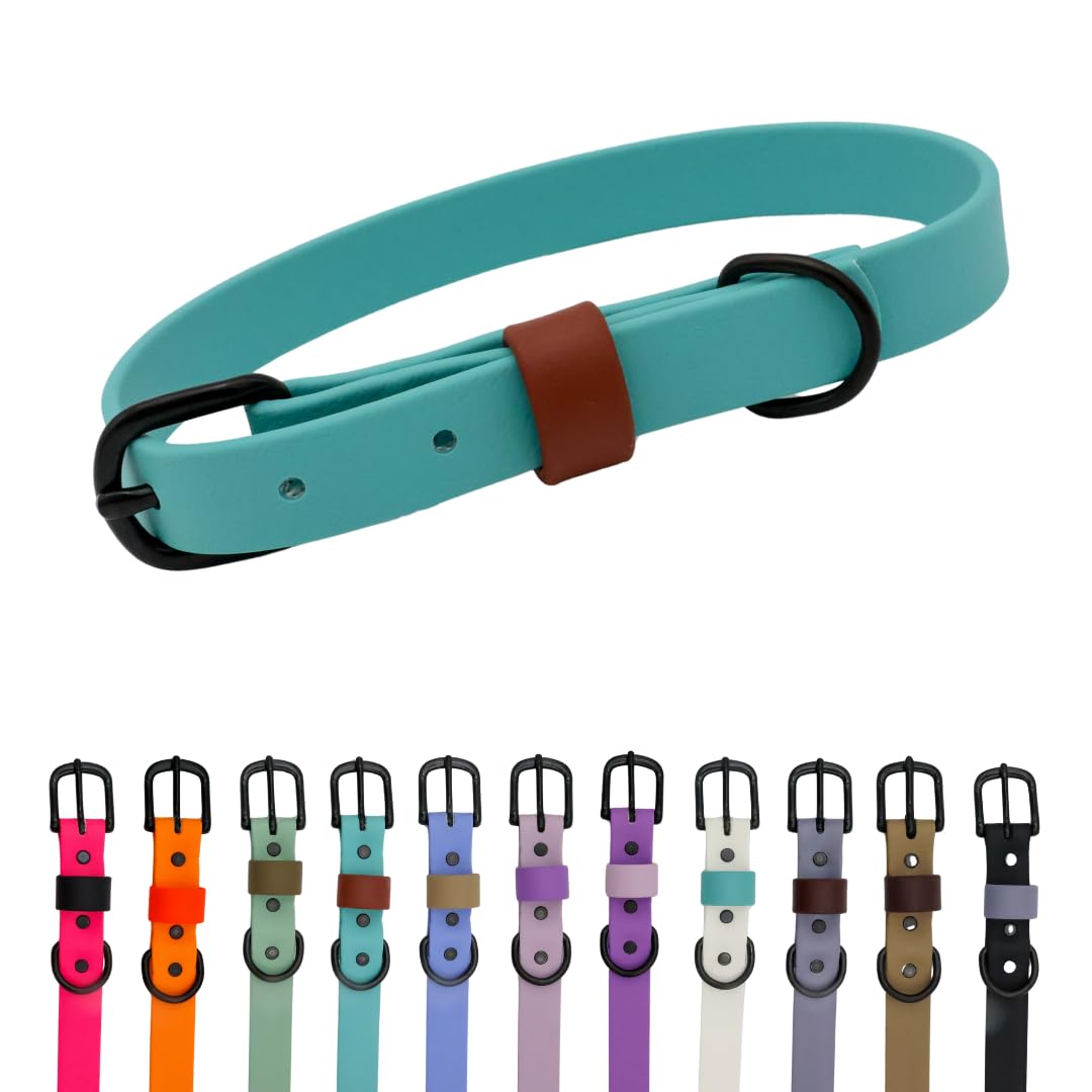 Collier pour chien imperméable turquoise M résout le problème des mauvaises odeurs