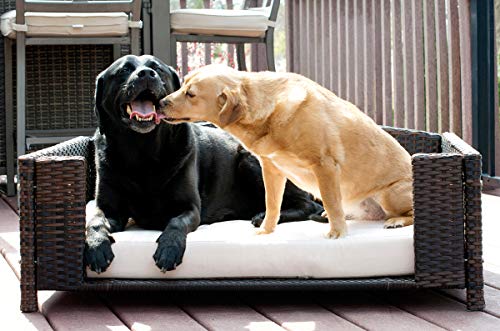 Rattan Small Rectangular Pet Bed, Indoor/Outdoor #TOP7