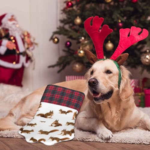 OKFSTY Niedlicher Eichhörnchen-Weihnachtsstrumpf mit Pfotenabdrücken, niedliches Haustier-Hängestrümpfe, Weihnachtsdekoration, Geschenk für Familie