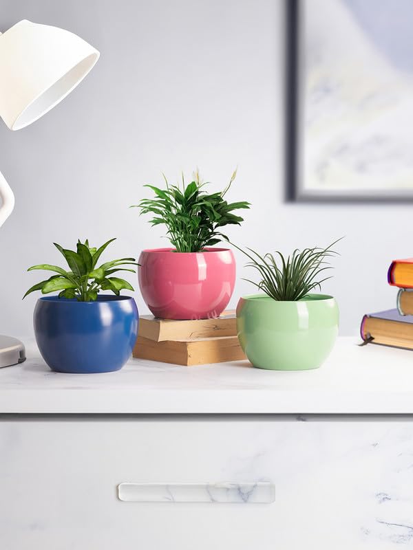 Image of Decorative Multicolour Planters for Indoor Plants Metal Planters for Living Room, Bedroom, Balcony, Home and Office| Apple Shaped Rust-Free Powder Coated Planter |Set of 3