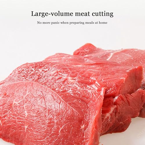 Affettatrice per carne commerciale, 1100 W, in acciaio inox, funzionamento verticale, con coperchio trasparente e lame staccabili, per cucina domestica e ristorante