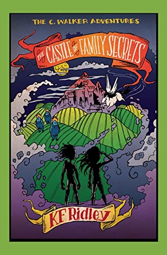 The Castle of Family Secrets 0615791980 Book Cover