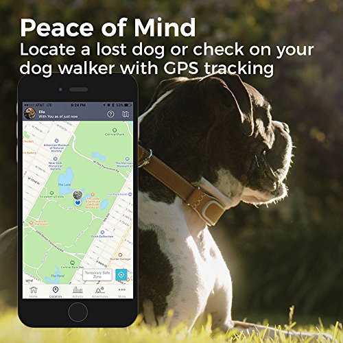 Link Akc Smart Dog Collar - Gps Location Tracker, Activity Monitor, And More, Medium (Kittn02) #TOP3