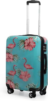 20" Hardside Carry-On Luggage-Luggage with Spinner Wheels-Luggage w/TSA LOCK-Carry On 20 Inch,20-Flamingo/Lake Blue