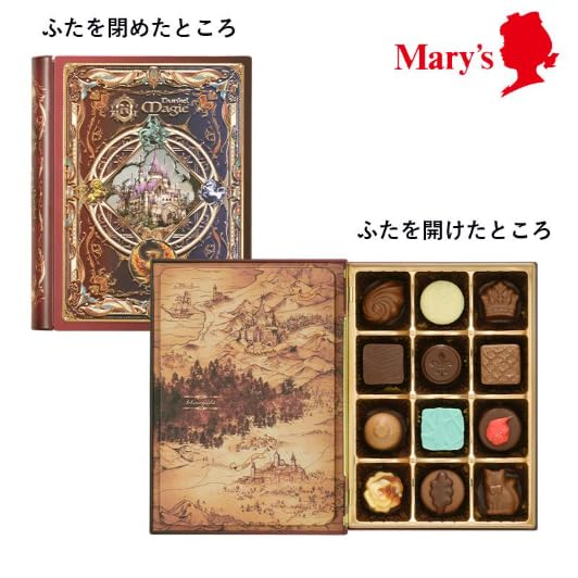 Amazon.co.jp: ナハトラビュリント ドゥンケルマギー（闇の魔法） 洋書