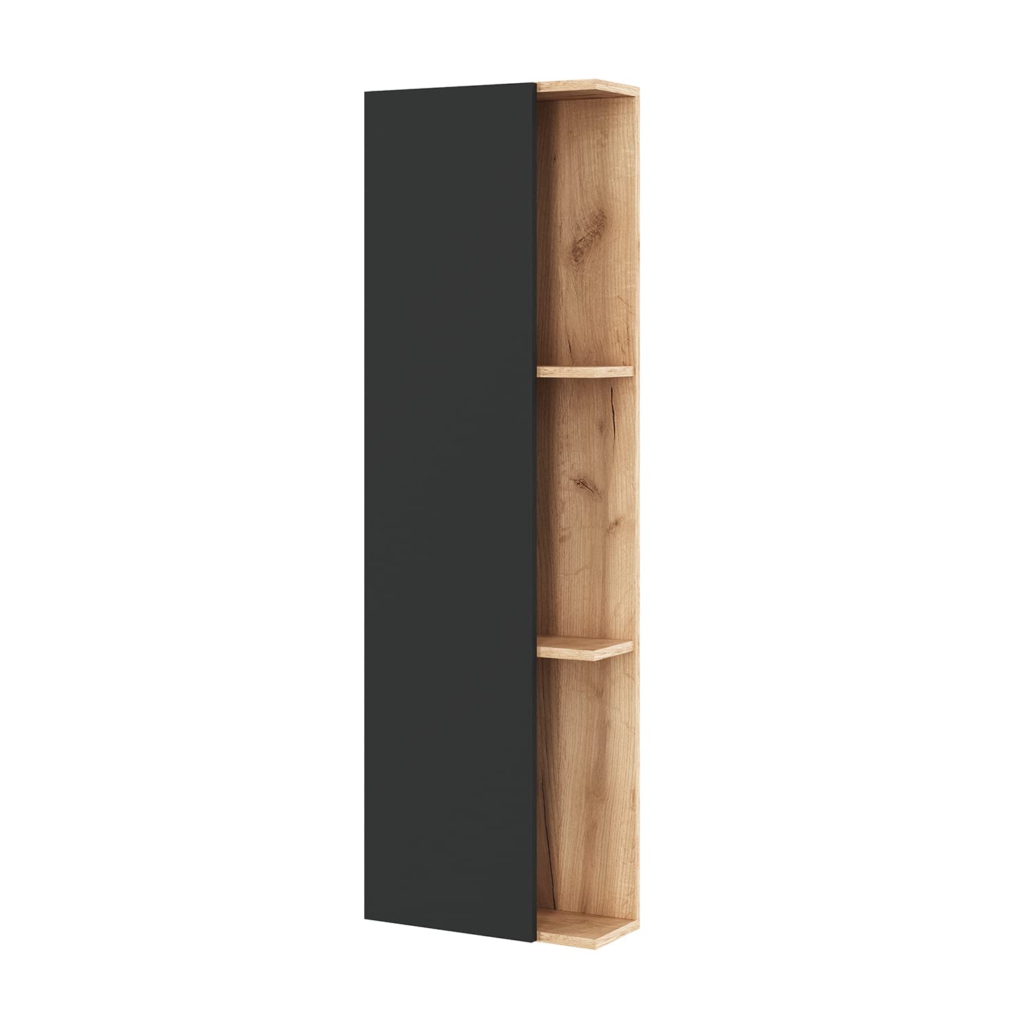 Planetmöbel Armario Lateral 40 cm Oroble/Antracita, Sala de Estar, Pasillo, Gaderobe, Baño