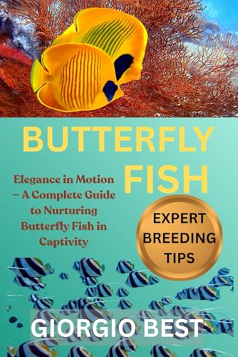 Butterfly Fish Care Guide