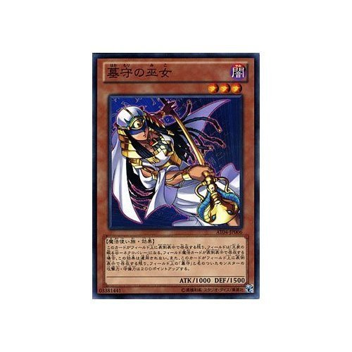 遊戯王 トーナメントパック 2011 2025年最新】Yahoo!オークション -トーナメントパック 2011の