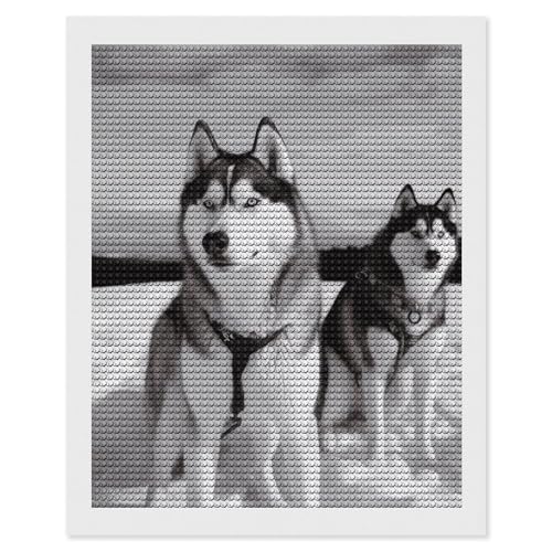 Kits d'art diamant pour adultes husky broderie mosaïque strass rond DIY
