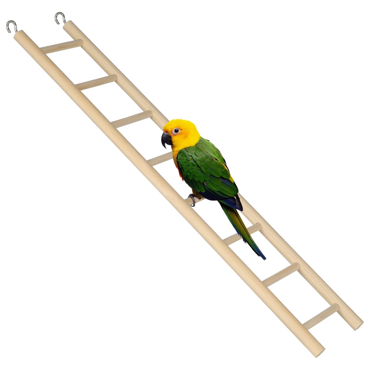 Échelle d'escalade en bois naturel Toddmomy pour l'exercice des perroquets