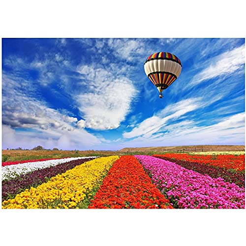 Kit Diamant Arts Craft Fleurs pour Lutter contre le Stress et l'Anxiété