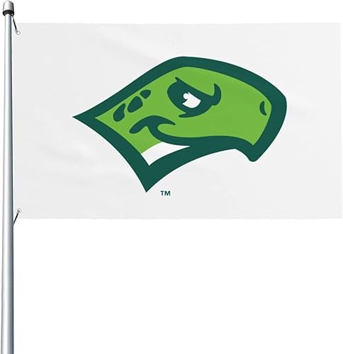 Daytona Tortugas Double Sided Garden Flag 3x5 Ft Decor Outdoor Banner Sign Party Parade Breeze Home Fade Proof Flags