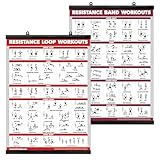 QuickFit 2 Pack - Resistance Bands and Resistance Loops Workout Posters - Set of 2 Laminated Charts - Resistance Band Tubes and Loops Exercise Charts
