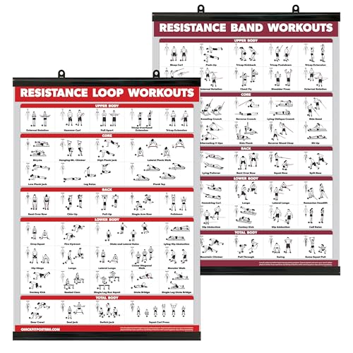 Palace Learning QUICKFIT 2 Pack - Resistance Bands and Resistance Loops Workout Posters - Set of 2 Laminated Charts - Resistance Band Tubes and Loops Exercise Charts (Laminated, 18