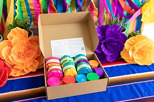 Riles & Bash Mexican Fiesta Streamer Backdrop, Crepe Paper Fiesta Flowers, Ruffled Party Streamers - Mexican Party Decorations #TOP6