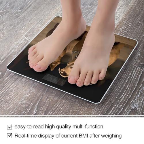 Báscula digital smart Pitbull Dogs para baño precisa miniatura 5