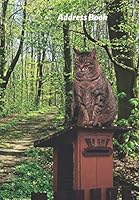 Address Book : For Cat Lovers: Keep Track of Phone Numbers, Emails, Birthdays, Anniversaries, Important Information, Kitty on Mailbox Cover 1657569179 Book Cover
