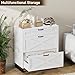 Halitaa File Cabinet 3 Drawers Lateral File Cabinet for Letter/Legal/A4 Size Hanging Files, Large Wood File Storage Cabinets Printer Stand for Home Office, White and Black