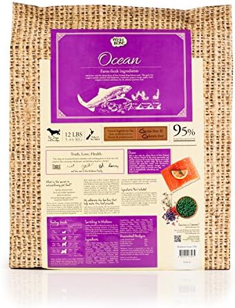 Wishbone Ocean King Salmon Grain-Free and Gluten-Free Dog Food, All Natural Dry Dog Food, Rich in Omega 3 Dog Food, High Protein Dry Dog Food - 12 lb