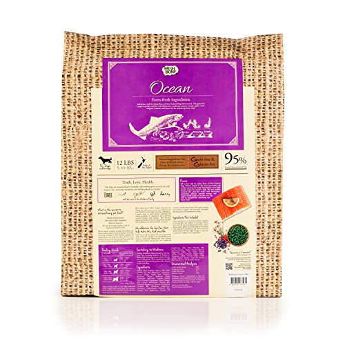 Wishbone Ocean King Salmon Grain-Free And Gluten-Free Dog Food, All Natural Dry Dog Food, Rich In Omega 3 Dog Food, High Protein Dry Dog Food - 12 Lb #TOP28