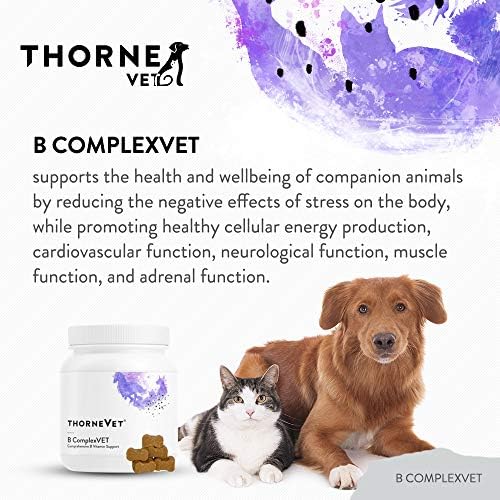 Is B Complex Good For Dog