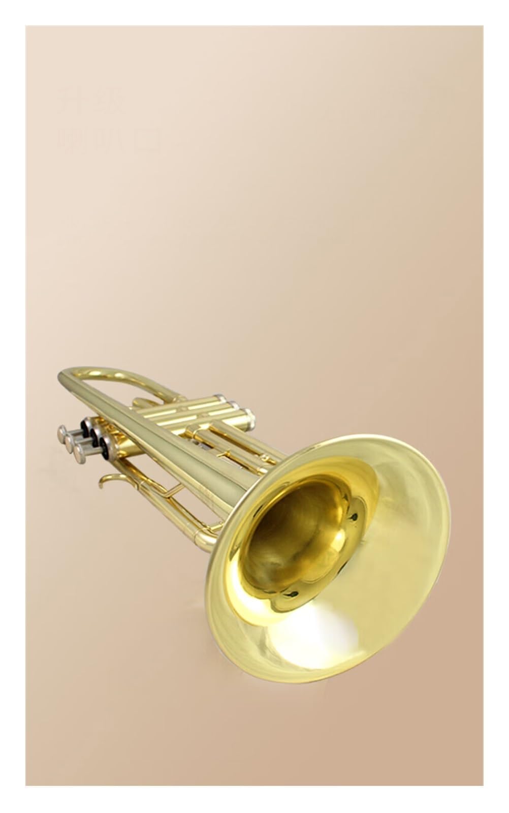 trąbka instrument Trąbka ogólnego przeznaczenia dla początkujących w tonacji B dla profesjonalnych orkiestr wykonawczych