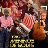 Trio Meninos de Goiás