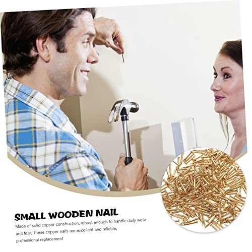 Clavos pequeños prácticos DOITOOL 2x15mm para colgar fotos en madera, pack de 565 piezas 250g miniatura 7