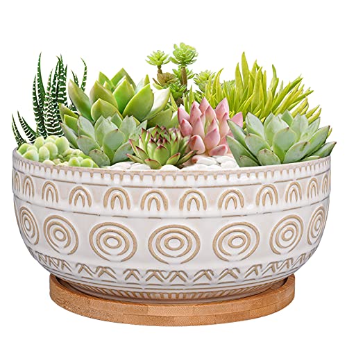 Comparison: Best Pot For Succulent 6 Eightpot 8 Inch Ceramic Succulent Planter Pot with Drainage Hole and Saucer Round Shallow Planter for Indoor Plants, White