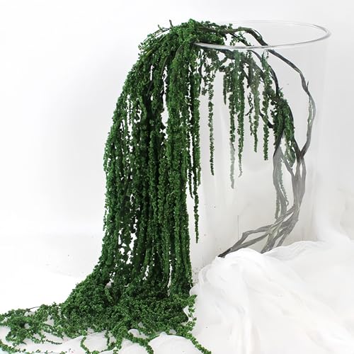 Flores Artificiales Secas Colgantes Amaranthus Pack 5 Piezas miniatura 3