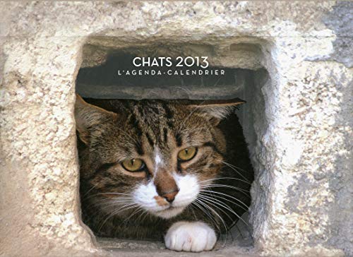 Télécharger L'agenda-Calendrier Chats 2013 livre En ligne