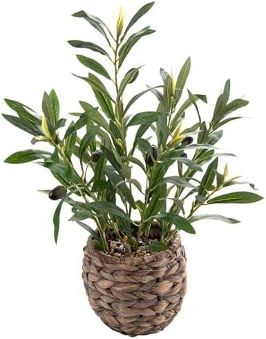 17" Fake Olive Plant in Handwoven Basket for Home Desk Decor | Ar...
