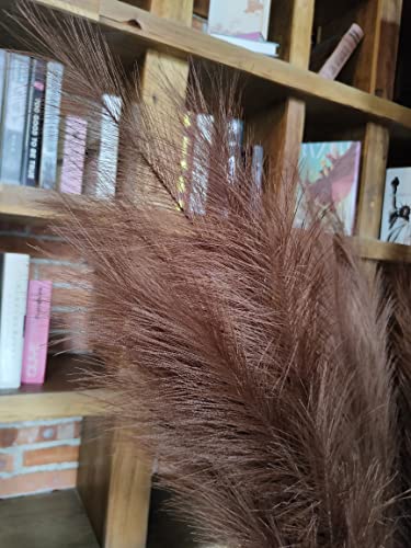 Pampas Grass Decor Tall,Large Pampas Floral Fluffy,Long Feather Flowers for Boho Wedding Arangement Bedroom Living Room Decorations (brown - Image 3