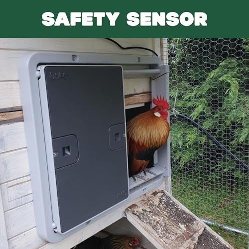 Image of Omlet Automatic Chicken Coop Door Opener | Operated by Light Sensor or Timer | Easy to Install, No Maintenance Required | Improves Coop Security and Insulation | Built-in Safety Sensors | Grey
