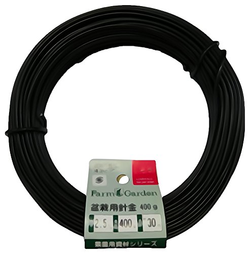 �L���{�V(Kinboshi) �~�͗p�j��400g����2.5�~�� 3461