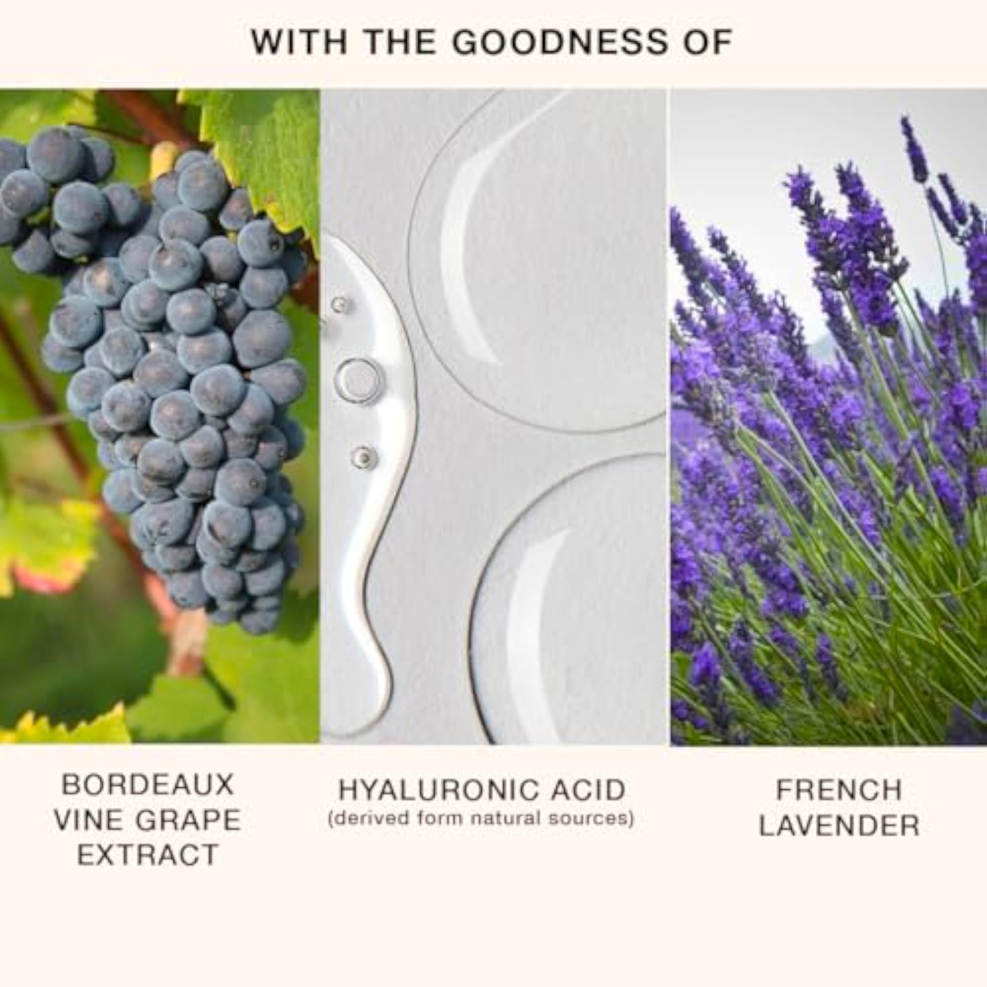 Hydrating Body Lotion with Bordeaux Vine Grape Extract & Vitamin E