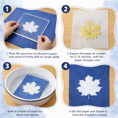 Kit cyanotype complet, idée cadeau originale pour passionnés d'art - 5