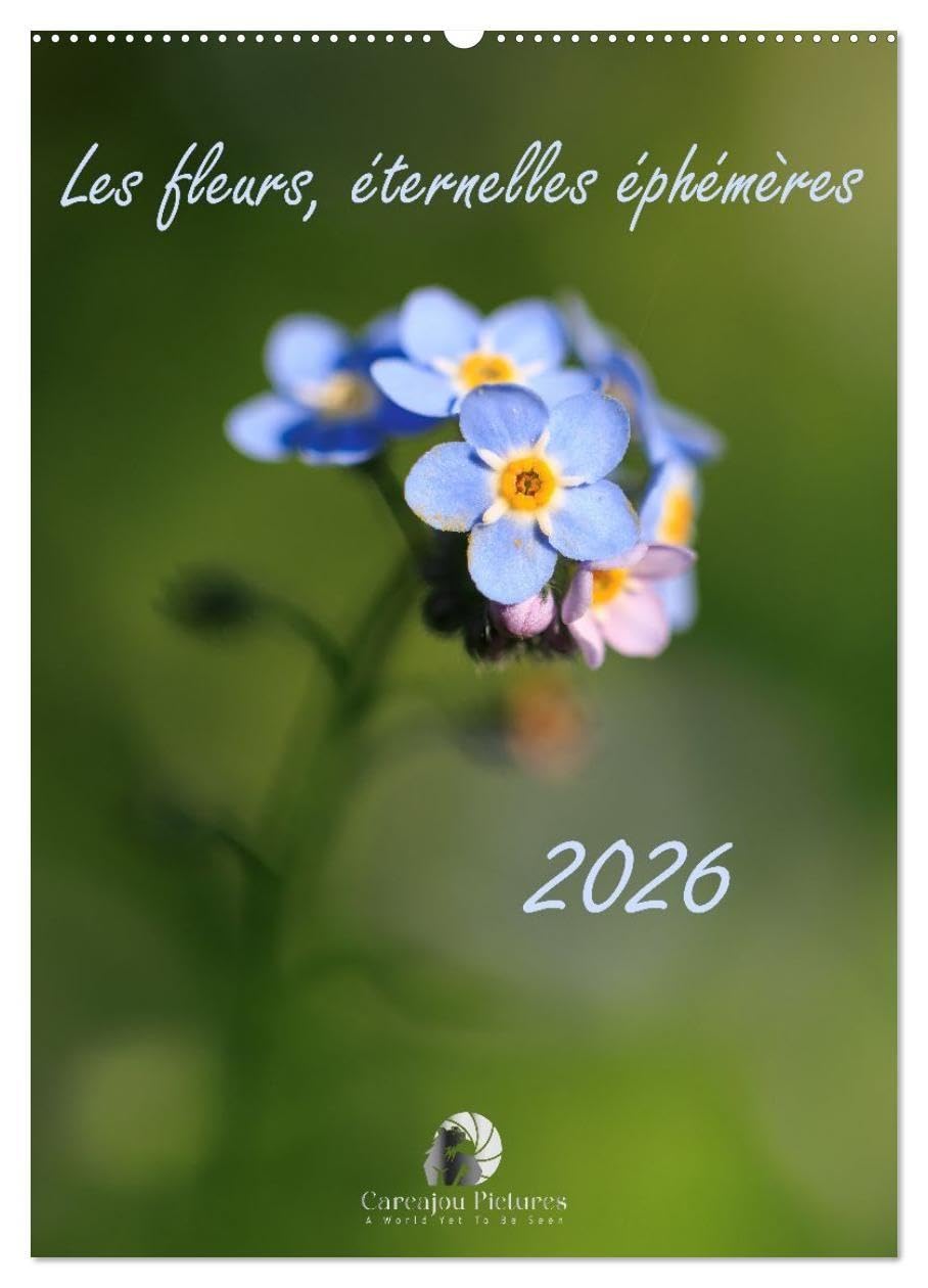 Les fleurs, éternelles éphemères (Calendrier mural 2027 DIN A2 horizontal), CALVENDO calendrier mensuel: Un calendrier poétique qui capture, mois ... fleurs dans toute leur splendeur éphémère.