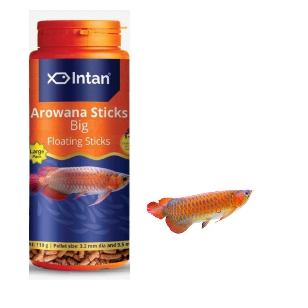 Premier Plants Intan Arowana Floating Big Stick for Arowana, Large Cichlids Fishes and Oscars (Big-3.2mm Diameter & 9.5mm Length) 110Gram (B0CCL21G71) Amazon Price History, Amazon Price Tracker