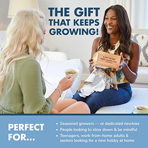 image for · GARDEN REPUBLIC · Bonsai Tree Seed Starter Kit - Mini Bonsai Plant