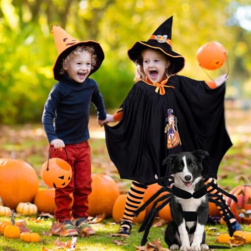 VireEyU Halloween-Spinnenkostüm Für Hunde Und Katzen, Realistisches Tierkostüm Mit Künstlichen Spinnenbeinen, Ideal Für Mittelgroße Und Kleine Hunde, Perfekt Für Halloween-Party Und Karneval（L）