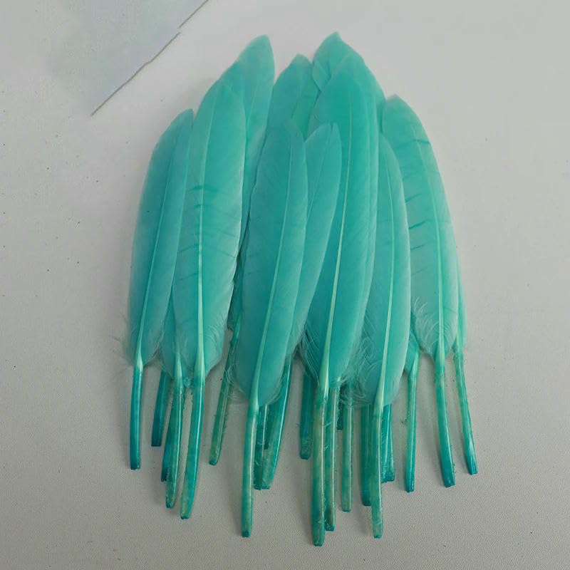 10 Stück/Lot farbige Straußenfedern für Schmuck, DIY-Hochzeiten, Partys, kreative Tischdekorationen, Handarbeit – Wunschfarbe – 30–35 cm (12–14 Zoll)