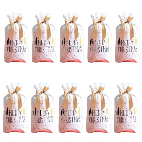 THEMUSE NX}X bsO В  10Zbg obO v[g p[eB[ p   َq LfB[ {t