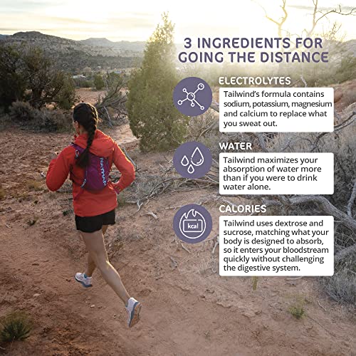 Image of Tailwind Nutrition Endurance Fuel, Sports Drink Powder Single Serving with Electrolytes, Non-GMO, Free of Soy, Dairy, and Gluten, Vegan-Friendly, Berry, Pack of 12