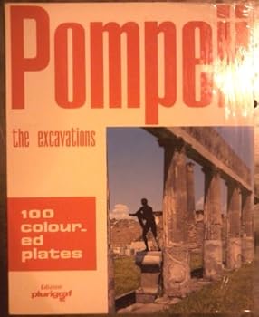 Paperback POMPEII: THE EXCAVATIONS Book